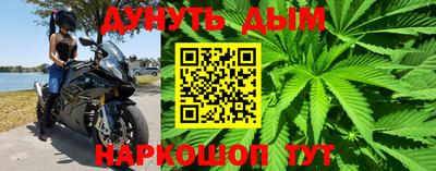 ешки Гагарин