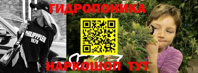 прущие грибы Волжск